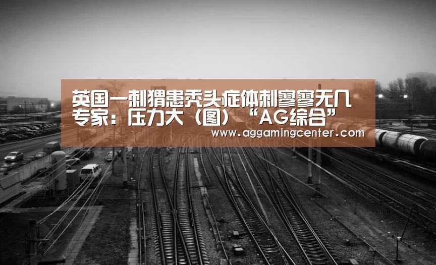 AG综合