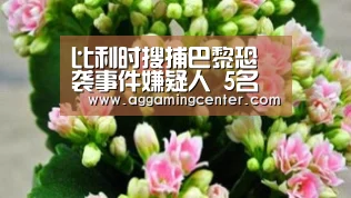 AG娱乐