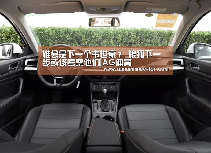 谁会是下一个韦世豪? 银狐下一步或该考察他们|AG体育(图1) AG体育