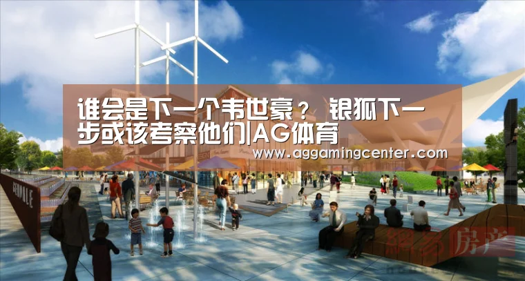 谁会是下一个韦世豪? 银狐下一步或该考察他们|AG体育(图2) AG电竞