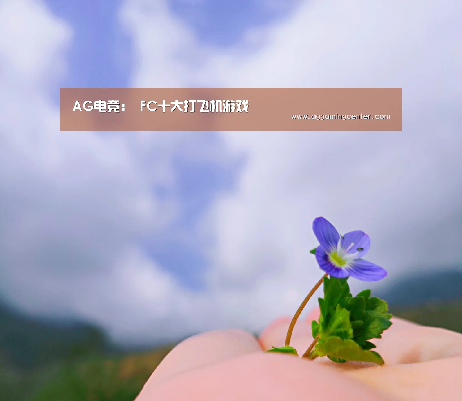 AG电竞:
FC十大打飞机游戏(图4) AG娱乐