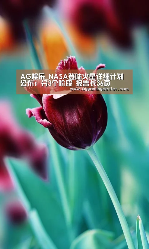 AG娱乐_NASA登陆火星详细计划公布:分3个阶段 报告长36页(图4) AG体育