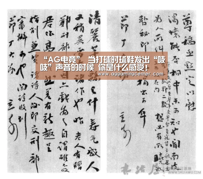 AG综合
