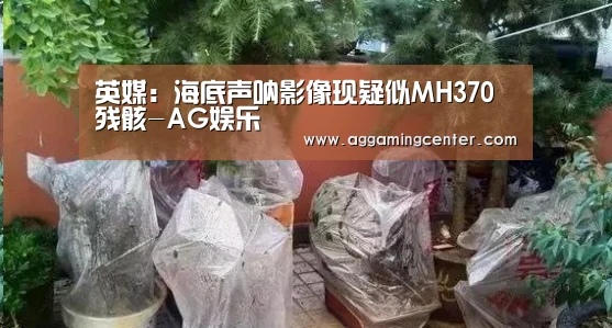 英媒:海底声呐影像现疑似MH370残骸-AG娱乐(图1) AG电竞
