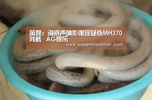 英媒:海底声呐影像现疑似MH370残骸-AG娱乐(图2) AG体育