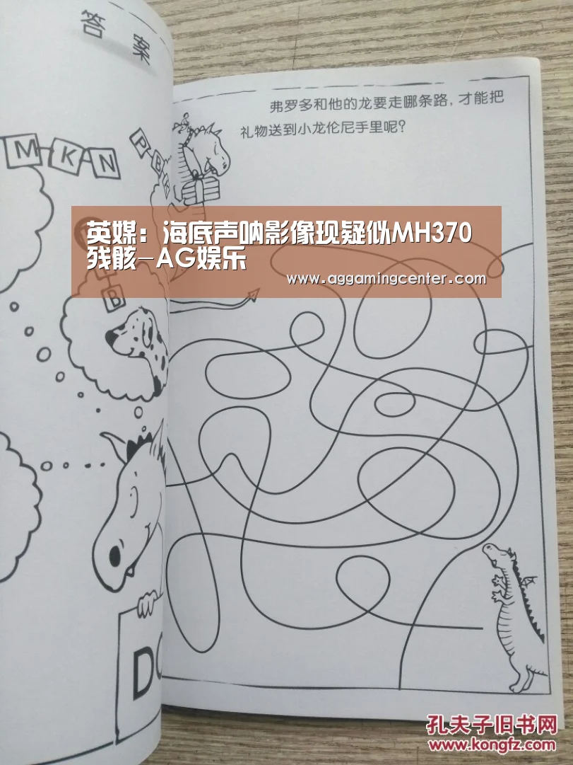 英媒:海底声呐影像现疑似MH370残骸-AG娱乐(图3) AG娱乐