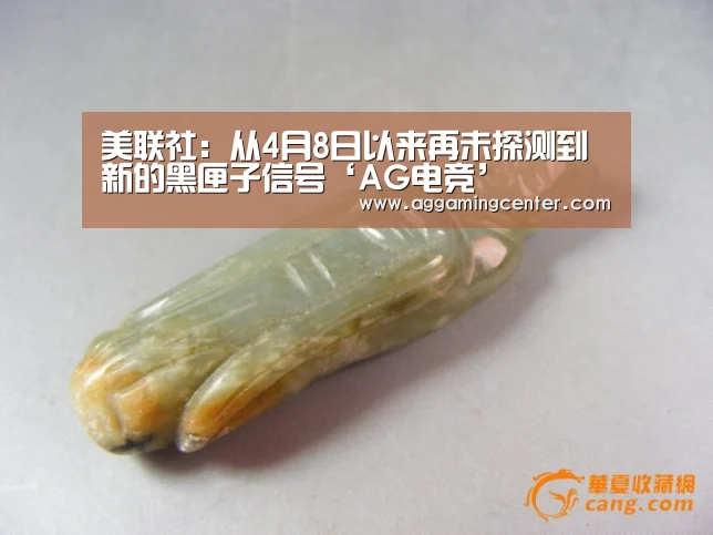 美联社:从4月8日以来再未探测到新的黑匣子信号‘AG电竞’(图2) AG电竞