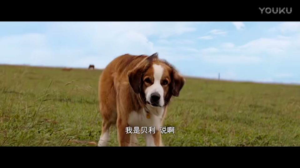 墨西哥头号大毒枭再逃脱 靠摔崖躲过特种部队【AG电竞】(图1) AG综合