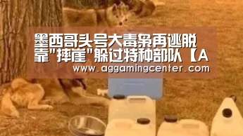 墨西哥头号大毒枭再逃脱 靠摔崖躲过特种部队【AG电竞】(图3) AG综合