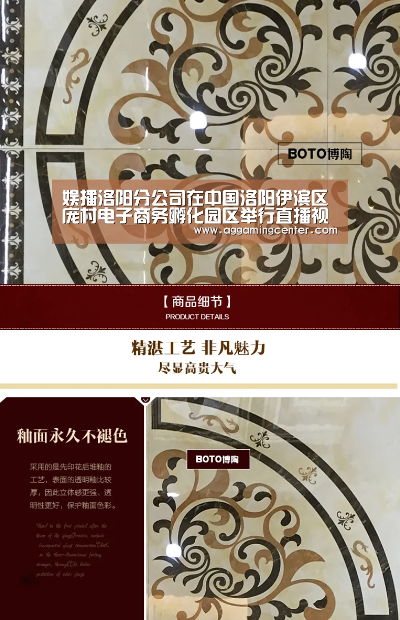 娱播洛阳分公司在中国洛阳伊滨区庞村电子商务孵化园区举行直播视商赢天下-AG娱乐(图1) AG体育