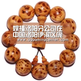 娱播洛阳分公司在中国洛阳伊滨区庞村电子商务孵化园区举行直播视商赢天下-AG娱乐(图2) AG娱乐