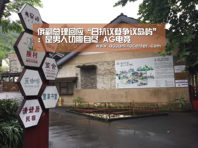 俄副总理回应“日抗议登争议岛屿”:是男人切腹自尽_AG电竞(图2) AG娱乐
