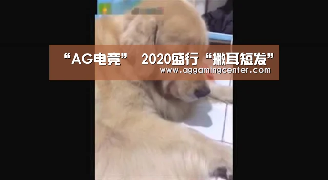 “AG电竞”
2020盛行“撇耳短发”(图20) AG娱乐