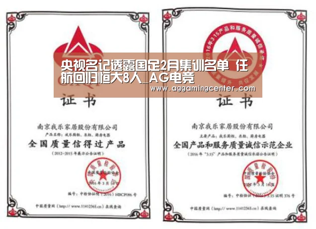 央视名记透露国足2月集训名单 任航回归恒大8人_AG电竞(图2) AG娱乐