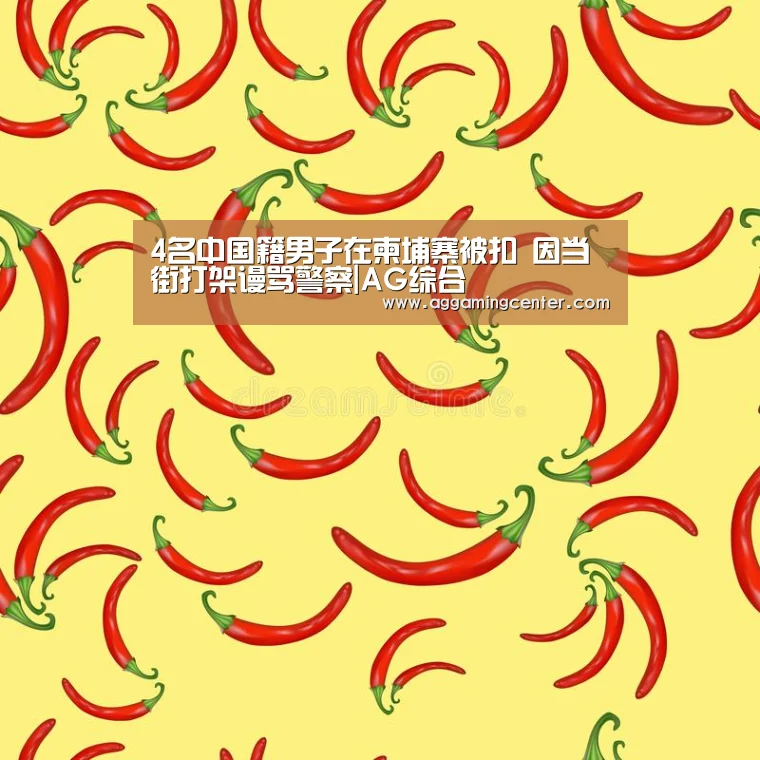 4名中国籍男子在柬埔寨被扣 因当街打架谩骂警察|AG综合(图1) AG综合