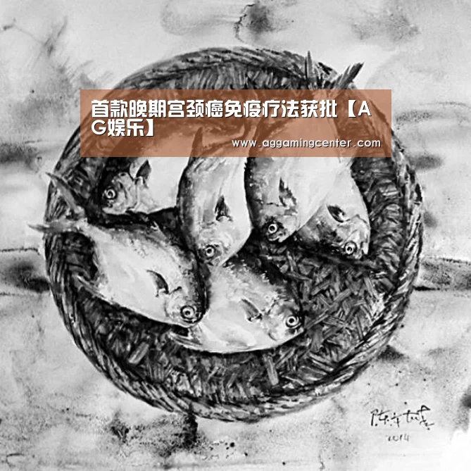 AG综合
