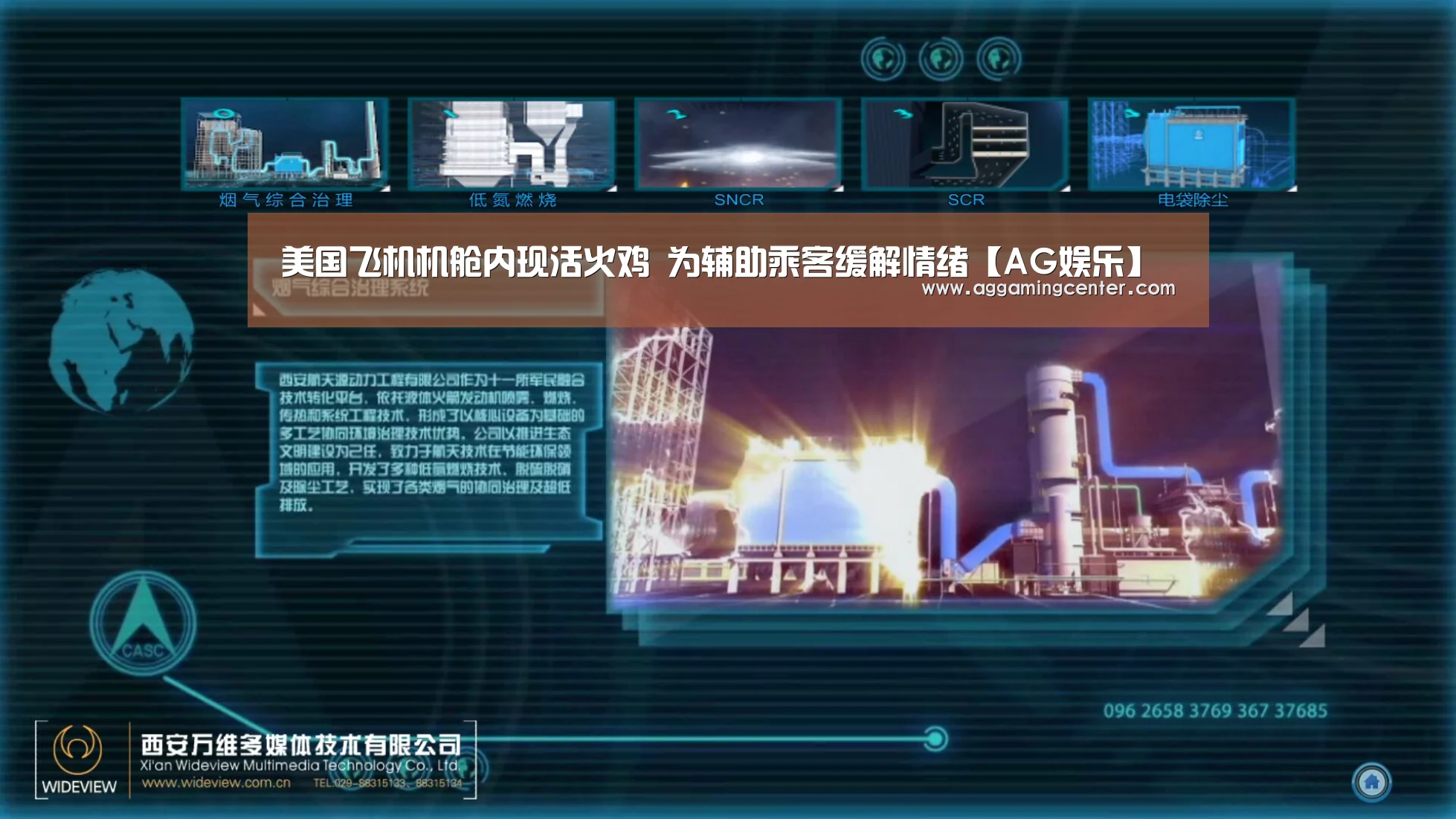美国飞机机舱内现活火鸡 为辅助乘客缓解情绪【AG娱乐】(图1) AG体育