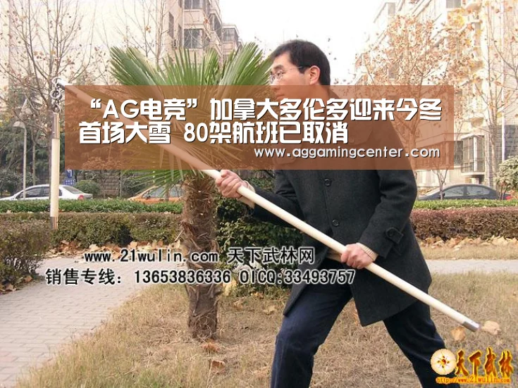“AG电竞”加拿大多伦多迎来今冬首场大雪 80架航班已取消(图2) AG体育