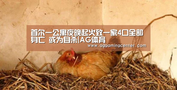 首尔一公寓夜晚起火致一家4口全部身亡 或为自杀|AG体育(图1) AG体育